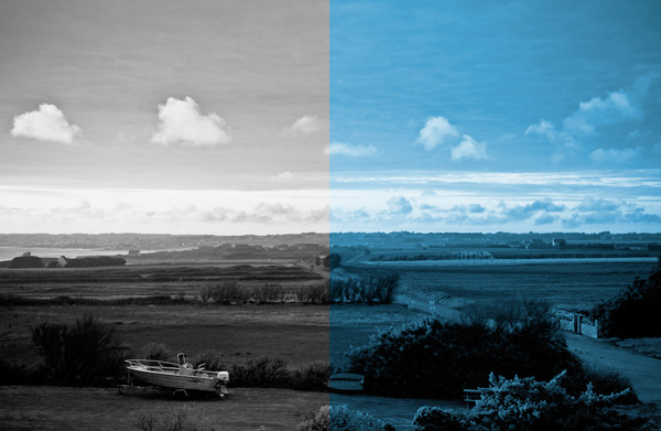BlackBlue